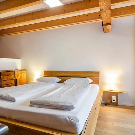Apartment Im Gaestehaus Krone Bodman-Ludwigshafen