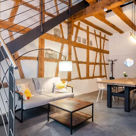 Apartment Im Gaestehaus Krone Bodman-Ludwigshafen